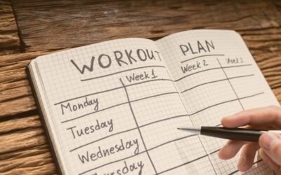 Méthode S.M.A.R.T et réhabilitation équine et canine